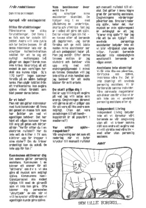 Stiletten-nr-4-86-Den-lilla-skillnaden